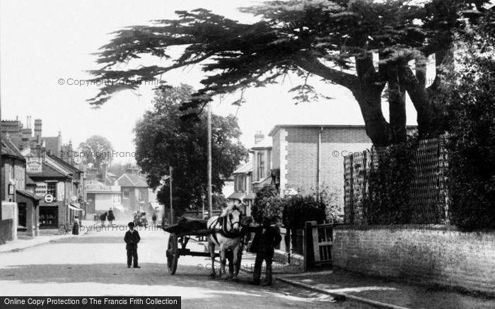 Photo of Bagshot, Horse And Cart On High Street 1903