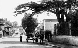 Horse And Cart On High Street 1903, Bagshot