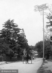 Horse And Cart, Portsmouth Road 1903, Bagshot