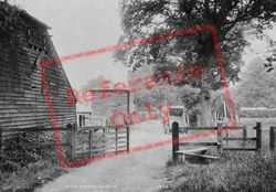 The Farm 1906, Bagshot