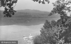 Lake 1935, Bala