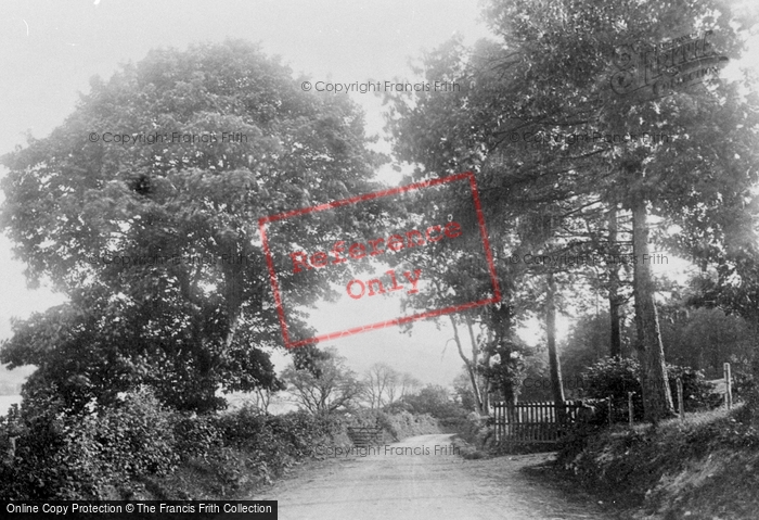 Photo of Bala, Road To Llanuwchllyn 1896