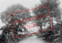 Road To Llanuwchllyn 1896, Bala