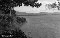 The Lake 1954, Bala