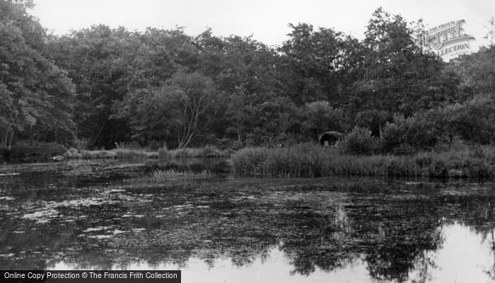 Photo of Balcombe, Lower Lake c.1955