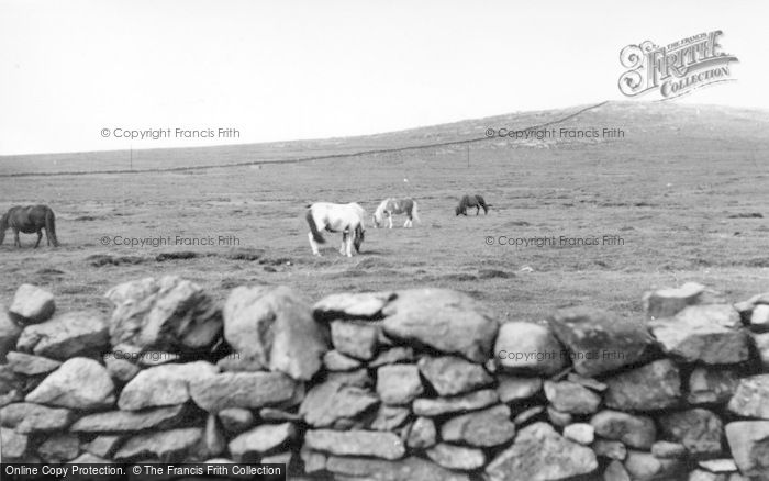 Photo of Baltasound, Shetland Ponies c.1960
