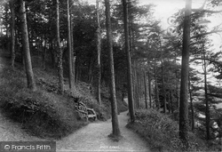 Woods 1894, Bangor