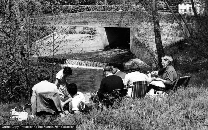 Photo of Barcombe, Picnicking At Barcombe Mills c.1955