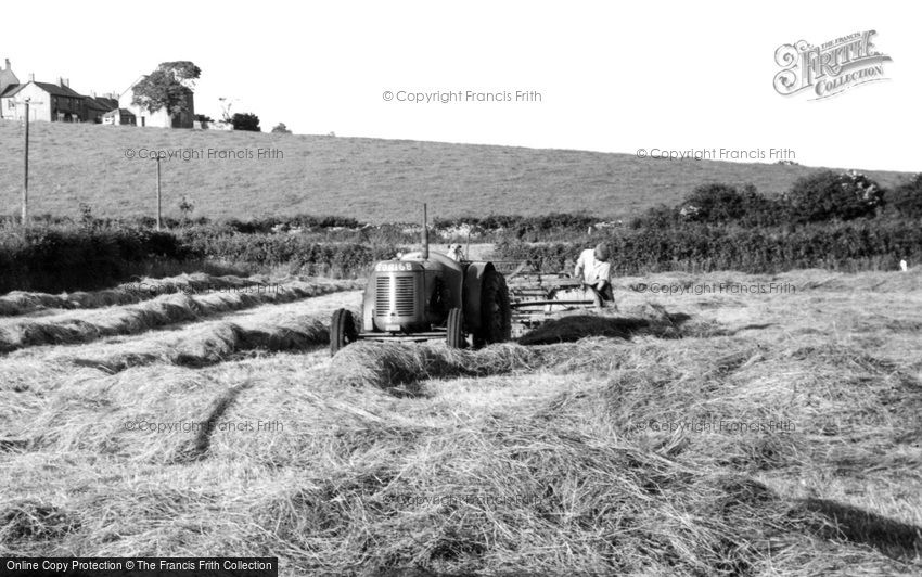 Bardsea, Haymaking c1955