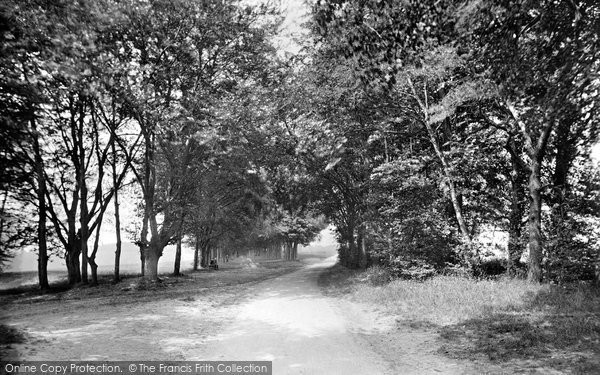 Photo of Barford St Martin, 1919