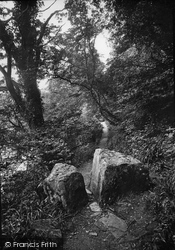 Flatts Wood, The Wishing Stones 1914, Barnard Castle