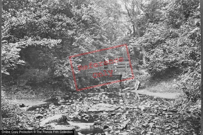 Photo of Barnard Castle, Flatts Woods 1929