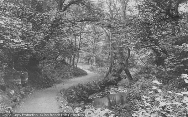 Photo of Barnard Castle, The King's Walk 1914