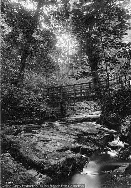 Photo of Barnard Castle, The Woods 1914