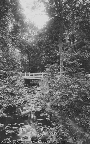 Photo of Barnard Castle, The Woods 1914