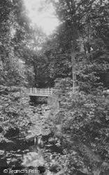 The Woods 1914, Barnard Castle