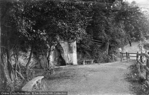 Photo of Barnstaple, Anchor Wood 1890