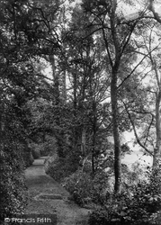 Anchor Wood, Lovers' Walk 1890, Barnstaple