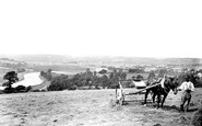 Barnstaple, Haymaking 1890