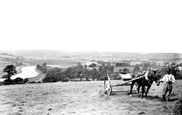 Haymaking 1890, Barnstaple