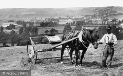 Haymaking 1890, Barnstaple