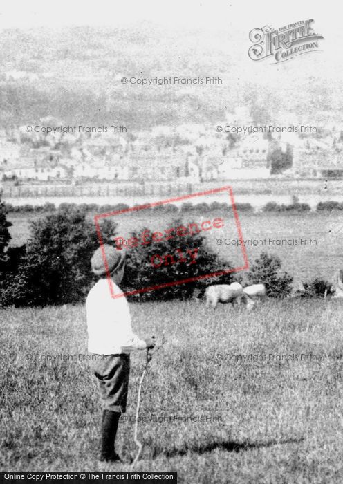 Photo of Barnstaple, Shepherd Boy 1890