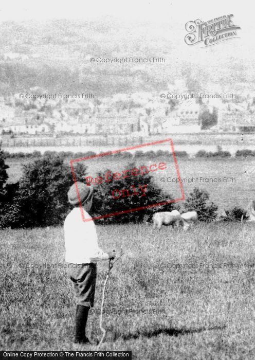 Photo of Barnstaple, Shepherd Boy 1890