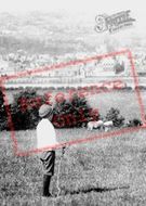 Shepherd Boy 1890, Barnstaple