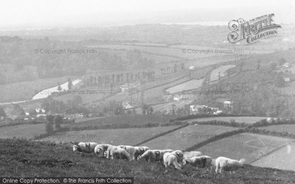 Photo of Barnstaple, View From Coddon Hill 1890