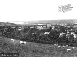 View From Mount Sandford 1929, Barnstaple