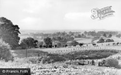 General View From Dalla Bank c.1960, Barrasford