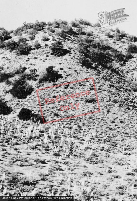 Photo of Barstow, Mojave Desert c.1935