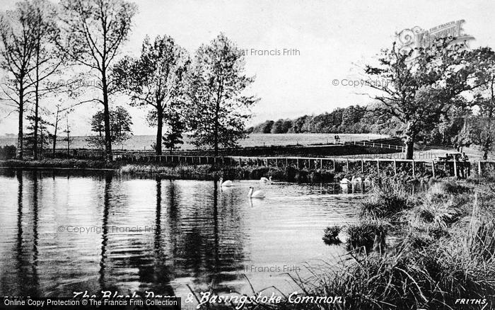 Photo of Basingstoke, Common And The Black Dam c.1955