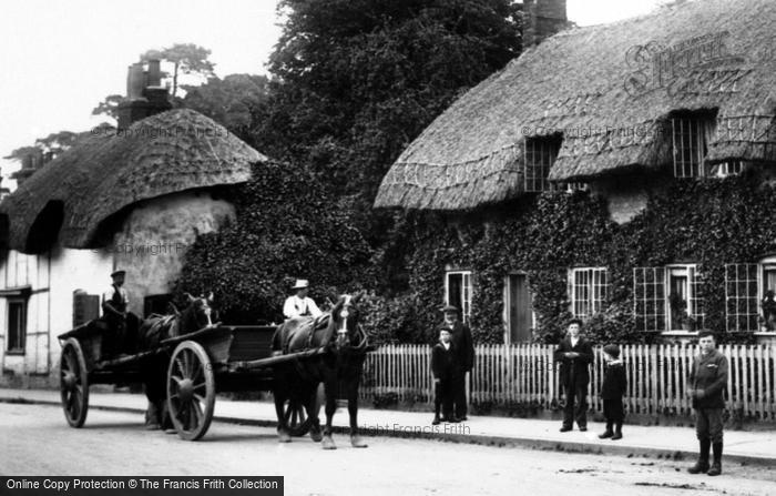 Photo of Basingstoke, Horse And Carts, Hackwood Road 1904