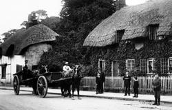 Horse And Carts, Hackwood Road 1904, Basingstoke