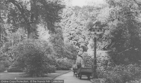 Photo of Bath, Botanic Gardens c.1965