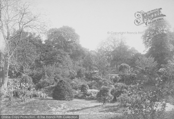 Photo of Bath, Botanical Gardens 1901