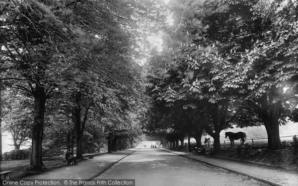 Photo of Bath, Victoria Park Avenue 1925