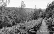 c.1955, Beacon Hill
