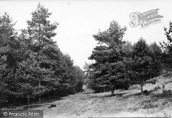 The Glen 1911, Beacon Hill
