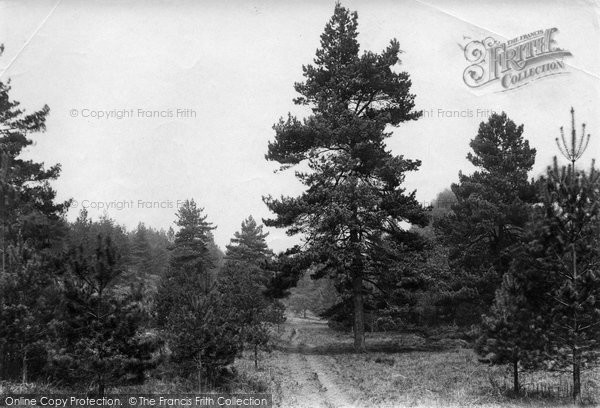 Photo of Beacon Hill, The Glen 1911