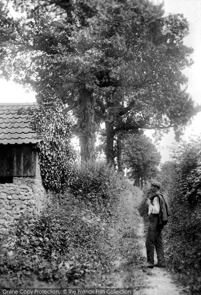 Photo of Beaminster, Furze Lane 1907