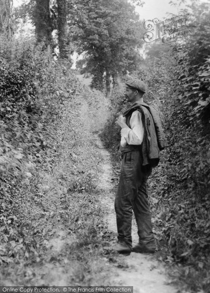 Photo of Beaminster, Man In Furze Land 1907