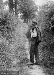 Man In Furze Land 1907, Beaminster