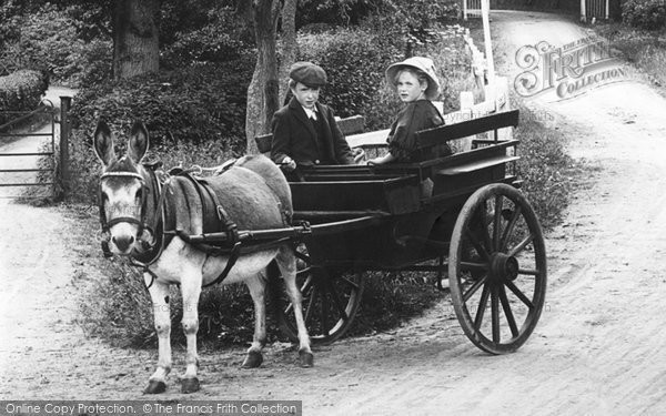 Photo of Beare Green, The Donkey Cart 1909