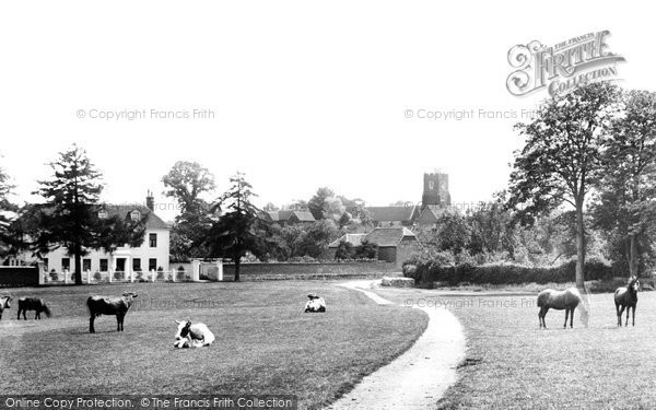 Photo of Bearsted, The Green 1898