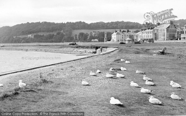 Photo of Beaumaris, Seagulls c.1955