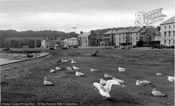 Photo of Beaumaris, Seagulls c.1960