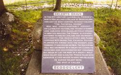 Gelert's Grave 1989, Beddgelert