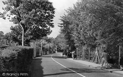 Plough Lane 1958, Beddington